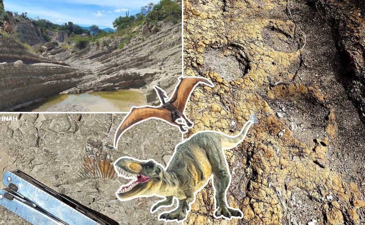 INAH confirma huellas de dinosaurios de 120 millones de años en reserva de Puebla