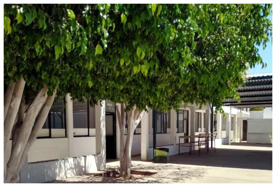 Alumna apuñala a compañera durante honores a la Bandera en Sonora