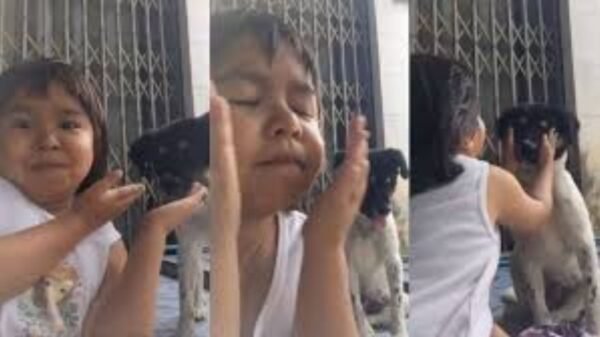 Niña comparte su rutina de belleza con su perrito y enamora a redes