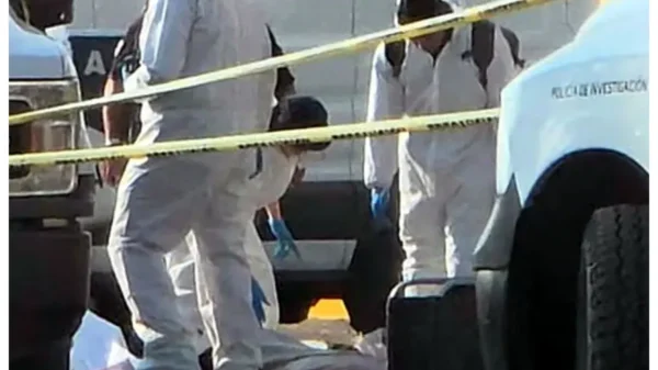 Hallan cuatro cuerpos desmembrados en Cuitzeo, Michoacán; fueron abandonados en costales| VIDEO