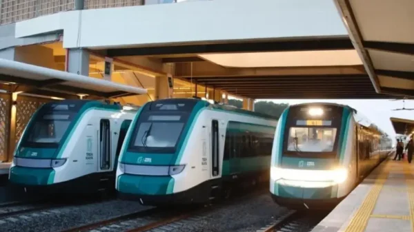 Suspenden obras del Tramo 5 del Tren Maya; esto se sabe