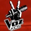 Muere exparticipante de La Voz Kids en brutal atropello; conductor huyó