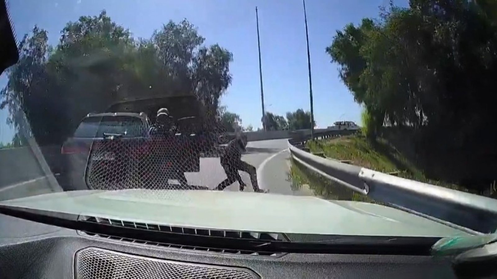 Intento de asalto termina mal: conductor arrolla a delincuente