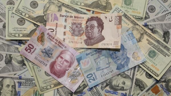 El “superpeso” sigue firme: abre semana con el mejor nivel frente al dólar