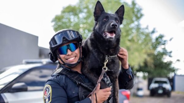 Descansa, ‘Vico’: muere perro policía tras ataque con machete en operativo de violencia familiar