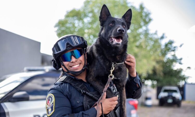 Descansa, ‘Vico’: muere perro policía tras ataque con machete en operativo de violencia familiar