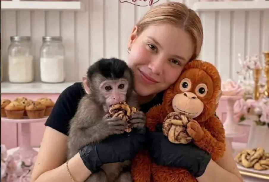 Reportan desaparición de joven influencer en Culiacán; hombres armados se la habrían llevado