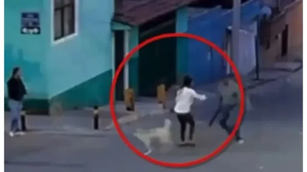 Mujer es atacada con machete por defender a perros callejeros en Puebla