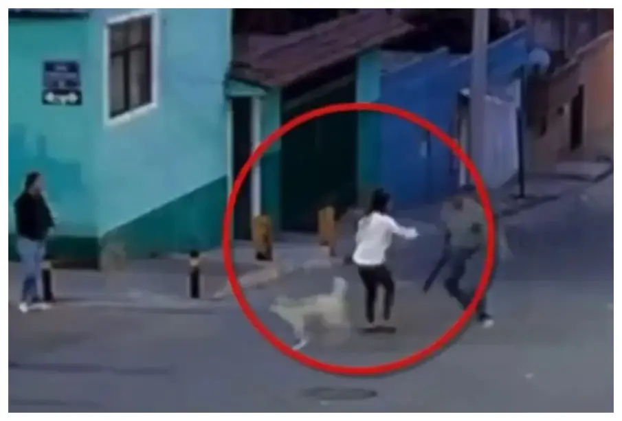 Mujer es atacada con machete por defender a perros callejeros en Puebla