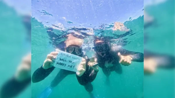 Vocalista de Metallica se compromete bajo el agua con tiburones ballena