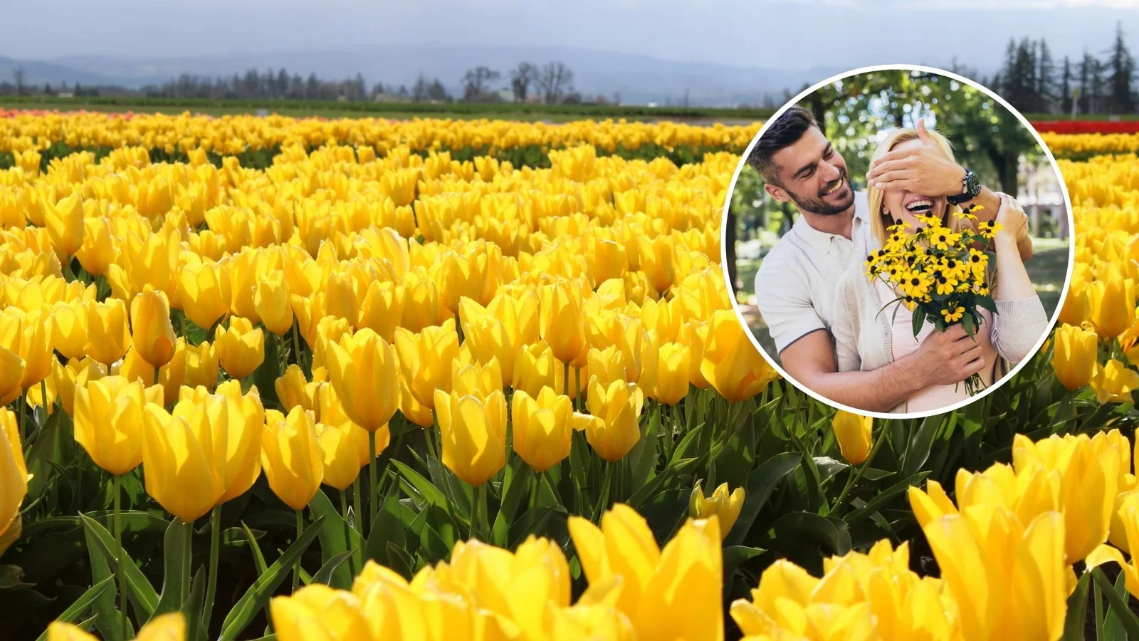 Flores amarillas: tradición y alegría cada 21 de marzo