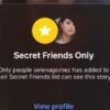 “Amigos Secretos”, la nueva función de Instagram estrenada por Selena Gomez