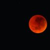 VIDEO: La Luna de Sangre iluminó la madrugada en México y así se vio