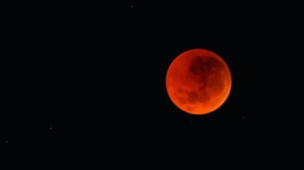 VIDEO: La Luna de Sangre iluminó la madrugada en México y así se vio