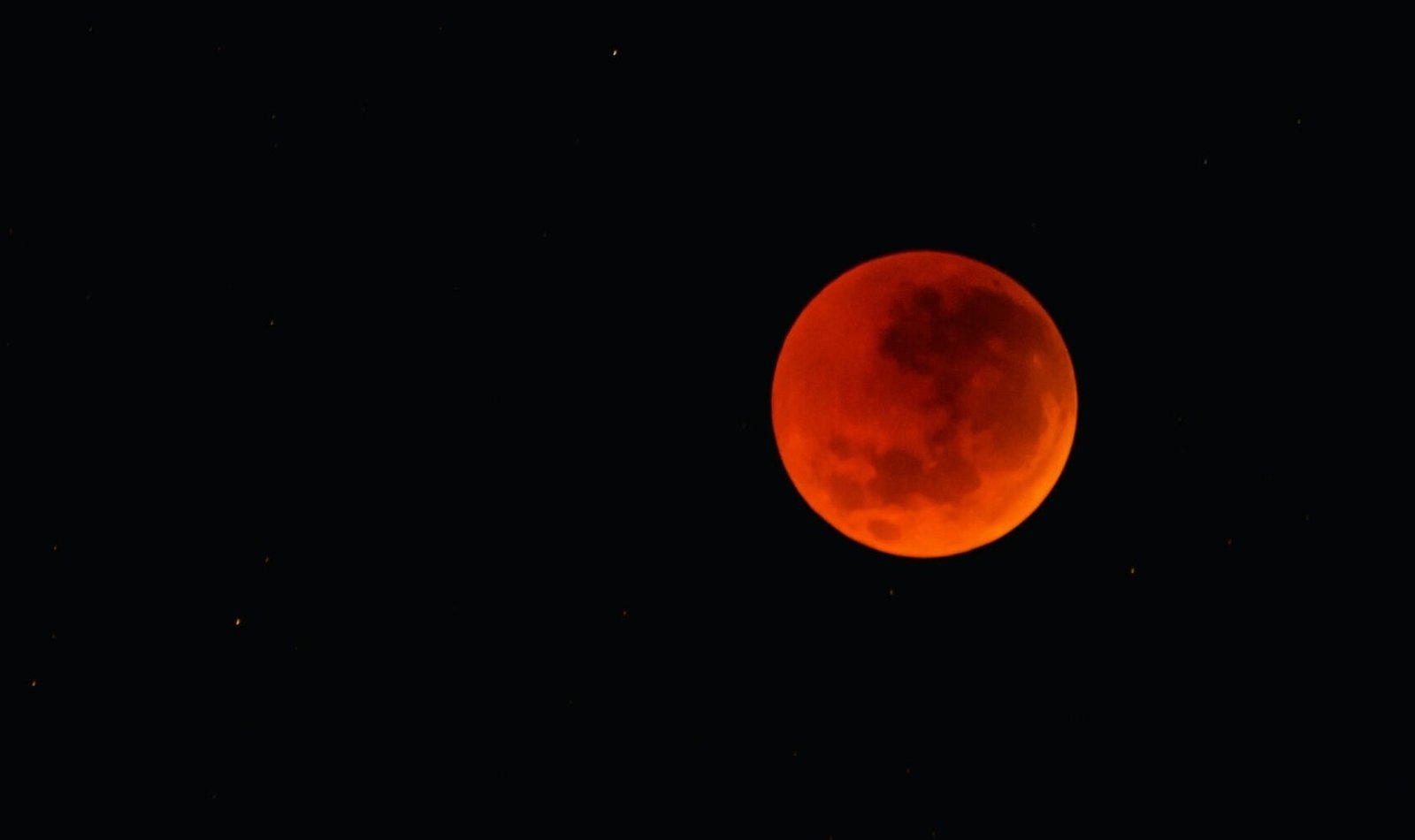 VIDEO: La Luna de Sangre iluminó la madrugada en México y así se vio