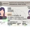 INE permitirá incluir identidad no binaria e identificación indígena en la credencial para votar