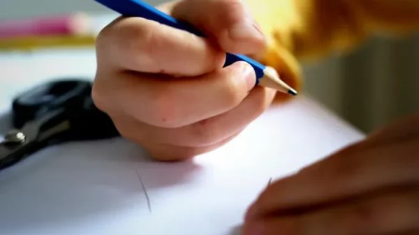 Senado prohíbe uso comercial de datos e imagen de menores en escuelas