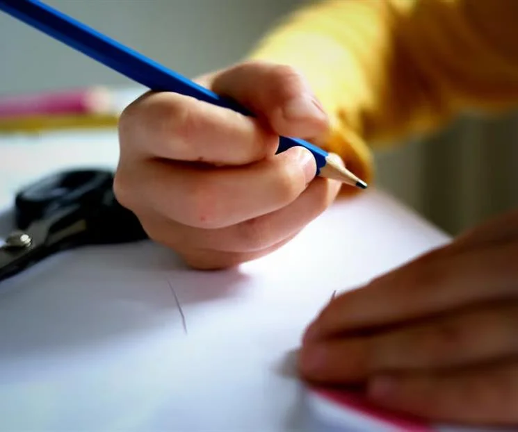 Senado prohíbe uso comercial de datos e imagen de menores en escuelas