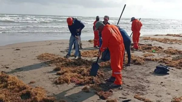 FGR indagará posible negligencia en derrame de Pemex en el Golfo: Sheinbaum