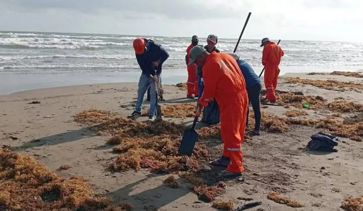 FGR indagará posible negligencia en derrame de Pemex en el Golfo: Sheinbaum