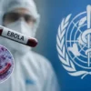 Sube a 204 muertos por brote de ébola en Congo