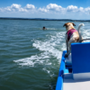 Perrito salta al mar para rescatar a su dueño y conmueve a miles en redes (VIDEO)
