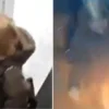 VIDEO: Explota batería portátil dentro de elevador en Rusia y desata momentos de pánico