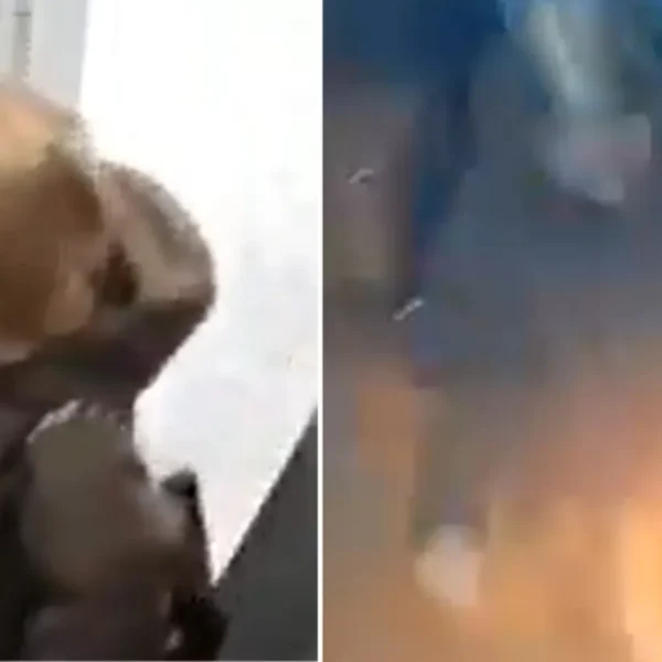VIDEO: Explota batería portátil dentro de elevador en Rusia y desata momentos de pánico
