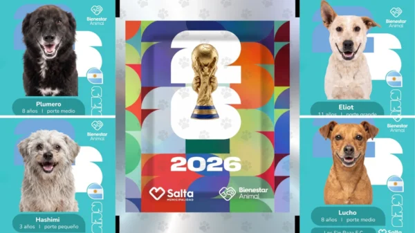Campaña de adopción con estampas del Mundial 2026 se vuelve viral