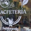 Abren la primera CACfetería del Bienestar en Paseo de la Reforma en CDMX