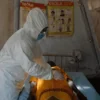 Investigan primer caso de ébola en Brasil