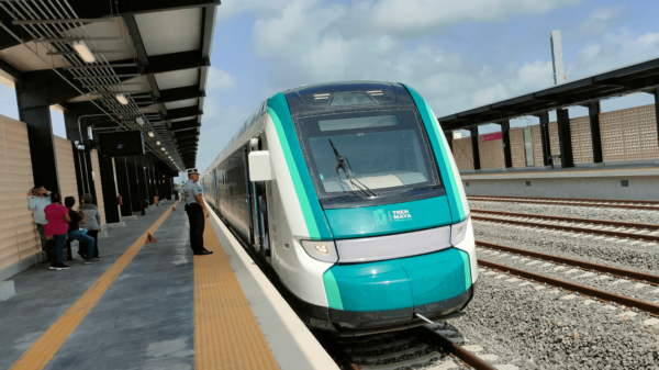 Continúa la crisis en el Tren Maya: Reportan pérdidas millonarias diarias y crece la preocupación