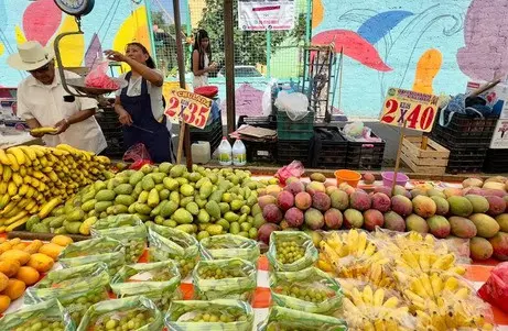 Inflación se desacelera a 3.55% en la primera quincena de junio: Inegi
