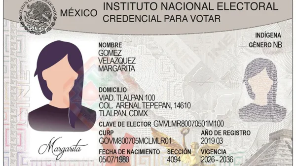 ¿Tu INE es nueva? Así puedes identificar las credenciales más seguras que ya circulan en México