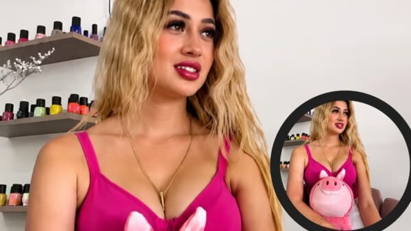 ¿Qué significan los cerdos rosa? Los peluches hallados en crímenes recuerdan el caso de Valeria Márquez