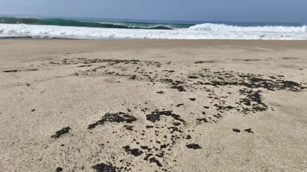 Nuevo derrame de hidrocarburo afecta 4 playas en Salina Cruz, Oaxaca