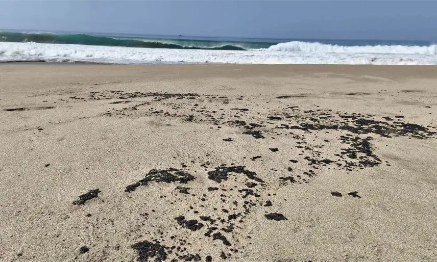 Nuevo derrame de hidrocarburo afecta 4 playas en Salina Cruz, Oaxaca