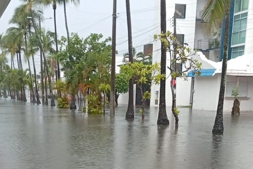 El Niño podría alcanzar niveles históricamente fuertes; alertan por posibles efectos en México
