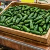 Cofepris descarta Salmonella en chiles jalapeños enviados de México a EU