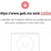 Se caen páginas del gobierno de México, ¿A qué se debe?