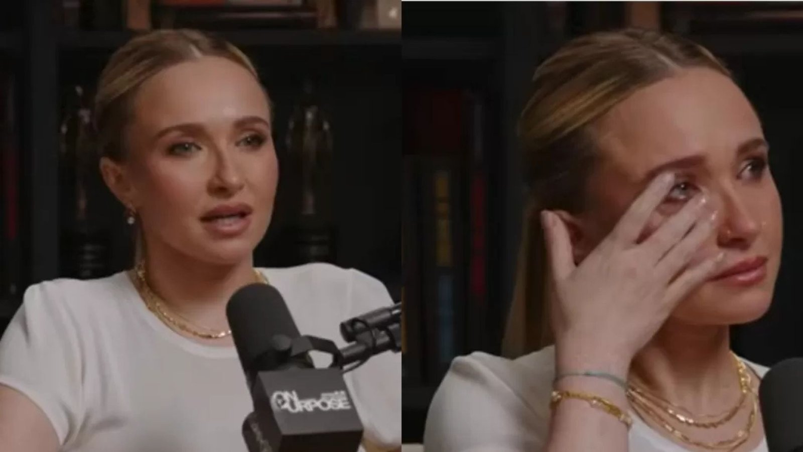 ¿La muerte de Hayden Panettiere tiene relación con su revelación sobre Hollywood? Esto se sabe