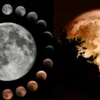 Agosto iluminará el cielo con eclipses, Perseidas y planetas ¿cuándo y dónde verlos?