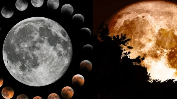 Agosto iluminará el cielo con eclipses, Perseidas y planetas ¿cuándo y dónde verlos?