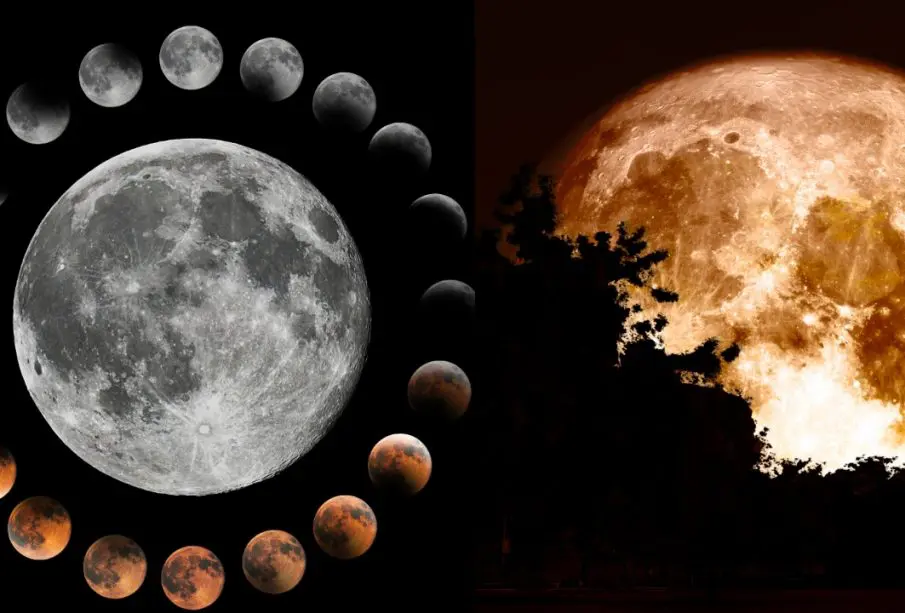 Agosto iluminará el cielo con eclipses, Perseidas y planetas ¿cuándo y dónde verlos?