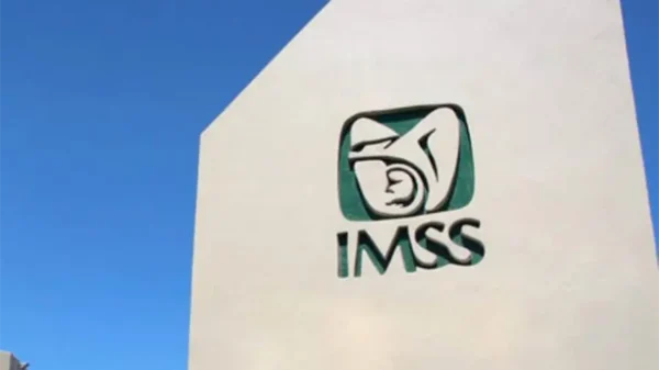 ¡No es broma! IMSS Bienestar lanza convocatoria para contratar creadores de contenido territoriales