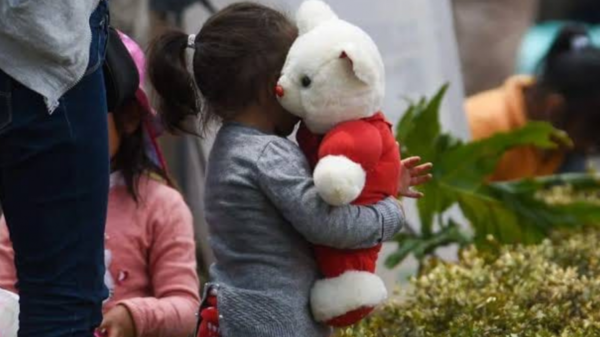 FGR aún no confirma hallazgo de restos incinerados ilegalmente de niños en Michoacán