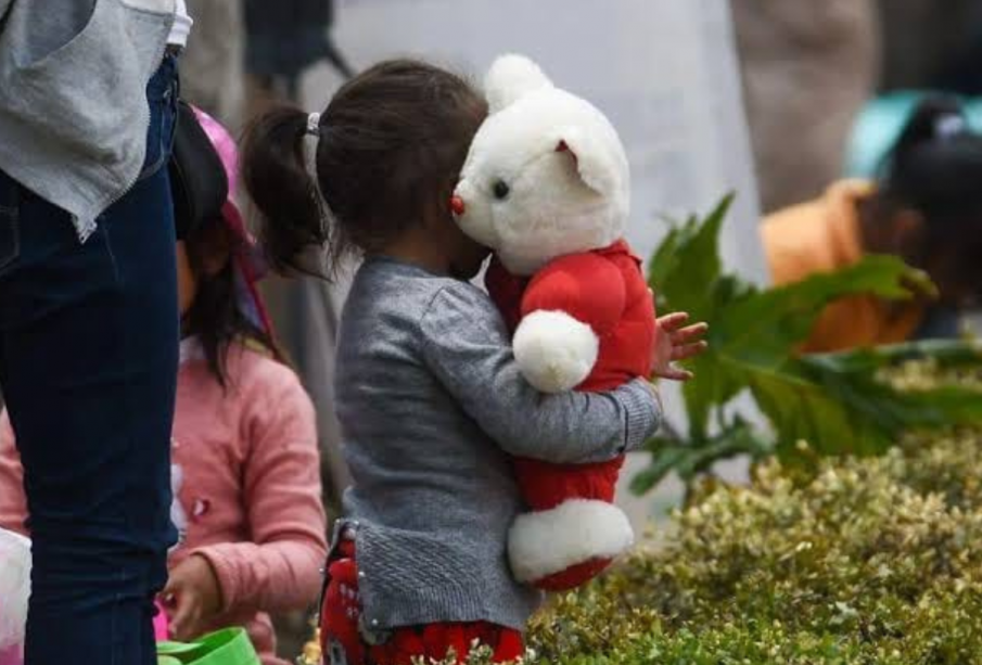 FGR aún no confirma hallazgo de restos incinerados ilegalmente de niños en Michoacán