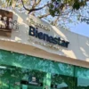 Beca para el Bienestar 2026: cuándo registrarse para recibir el apoyo económico