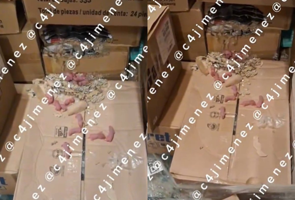VIDEO viral exhibe presunto nido de ratas en bodega de Walmart México; esto se sabe