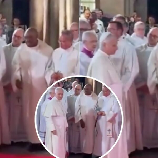 ¿Ignoró a un sacerdote? El video del papa León XIV que causa polémica